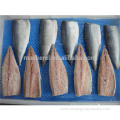 Chinese Export Frozen Pacific Mackerel Fillets For Wholesale